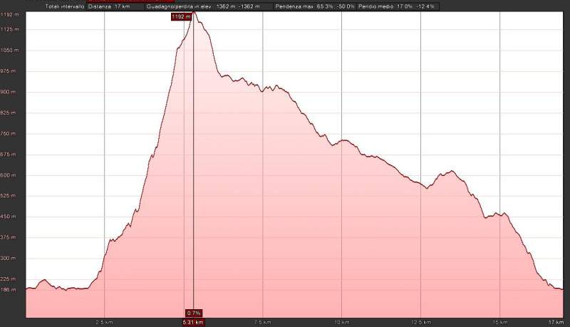 Altimetria Trentapassi Sky Race 2012